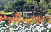 A painted garden of flowers beside a wooden footbridge
